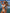 ZASUWA Female Crystal Must-have Beach Bikini Set