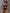 ZASUWA Female Unique Cutout One Piece