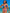ZASUWA Female Sexy Flags Print Beach Bikini Set