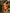 ZASUWA Female Sexy Flower Print Bikini Set
