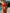 ZASUWA Female Flower 3-Pieces Bikini Set