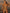 ZASUWA Female Gloosy Cutout One Piece