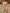 ZASUWA Female Flower Print Bow-knot Beach Bikini Set