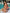 ZASUWA Female Cute Print Bikini Set