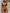 ZASUWA Female Sexy Contrast Color Stripes Beach Bikini Set