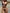 ZASUWA Female Sexy Contrast Color Stripes Beach Bikini Set