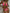 ZASUWA Female Snake Print Bikini Set
