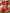 ZASUWA Female Basic Must-have Beach Bikini Set