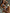 ZASUWA Female Sexy Contrast Color Bikini Set