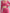 ZASUWA Female Solid Color Hollow Out Long Sleeves