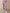 ZASUWA Female Pocket Drawstring Pants